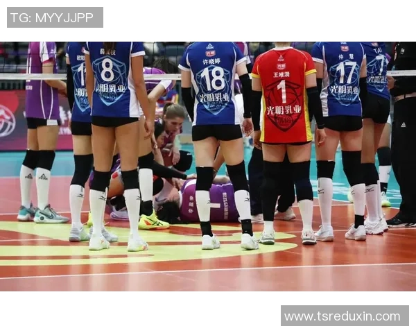 北京排球队在全国排球状态排行榜中荣获第4名展现强劲实力与潜力
